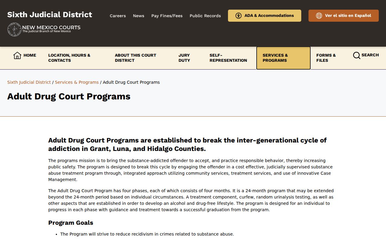 Hidalgo County court docket Adult Drug Court program information