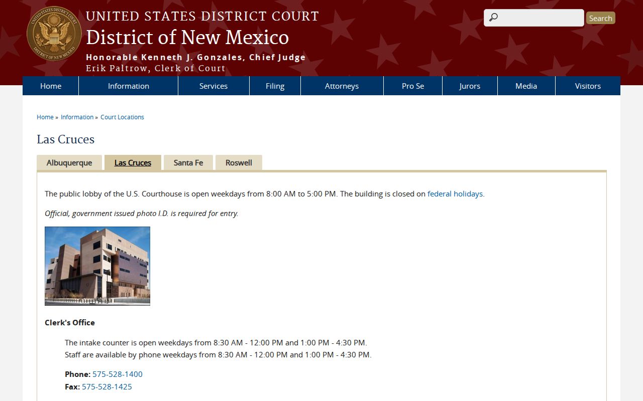 Hidalgo County court docket federal record access Las Cruces courthouse