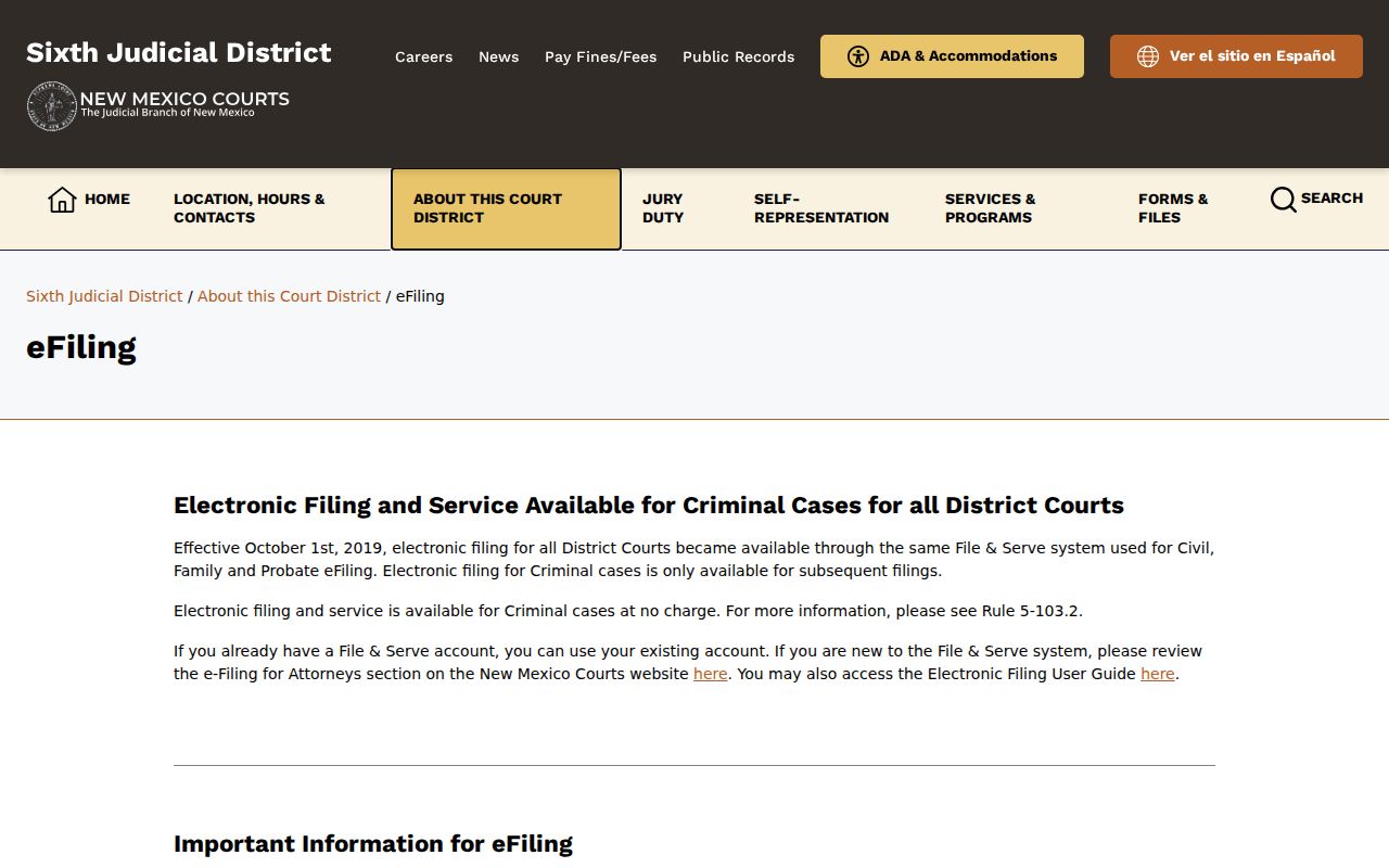 Hidalgo County criminal docket File and Serve information